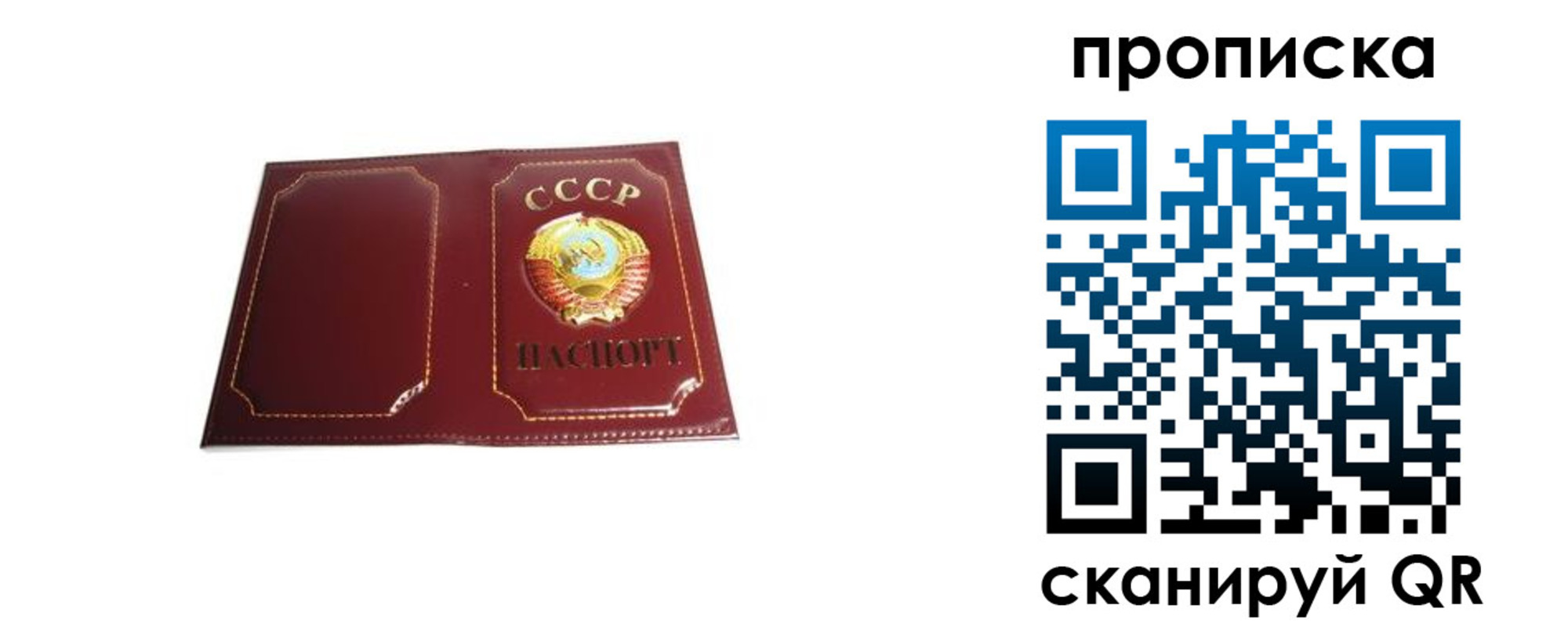 прописка гарантия в Нелидово